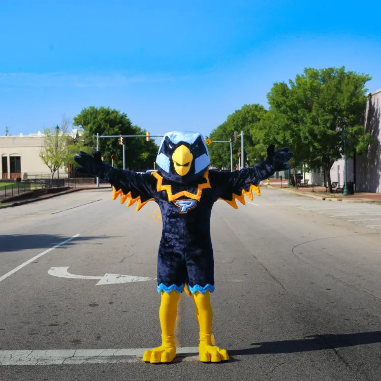 Charger, the University mascot standing in the road