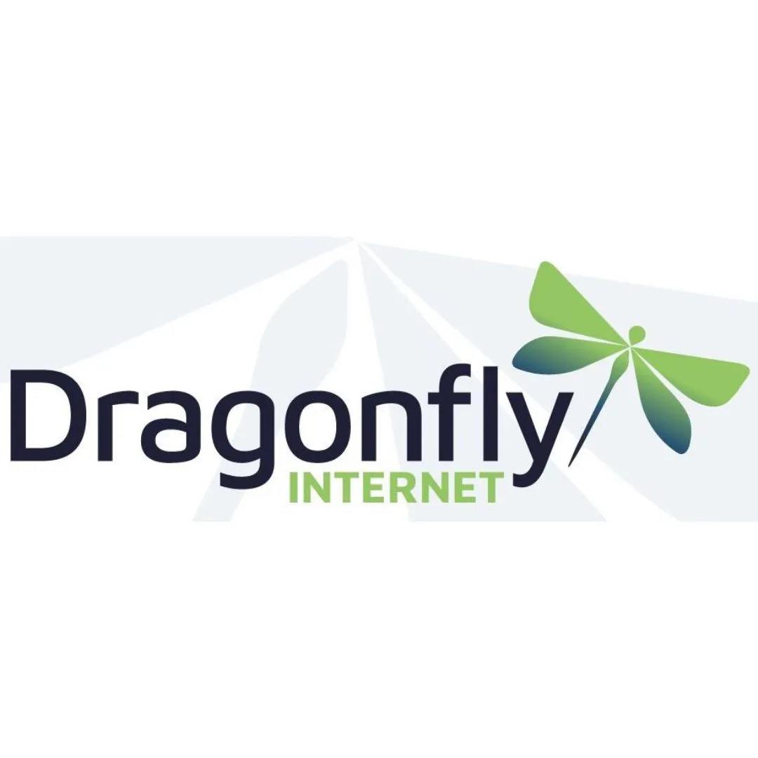 Dragonfly Internet logo